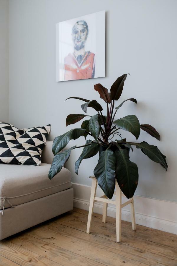 Baixa24 •P2R• Bright Apt In Vibrant Downtown Porto Luaran gambar